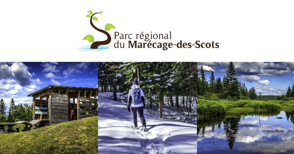 Parc régional du Marécage-des-Scots / Randonnée pédestre, réseau