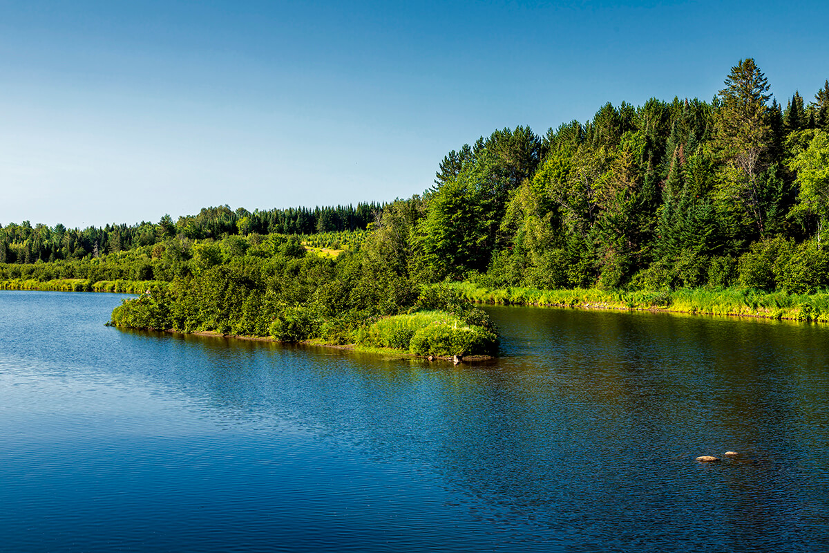 Rivière au Saumon - Activité du Parc régional du Marécage-des-Scots
