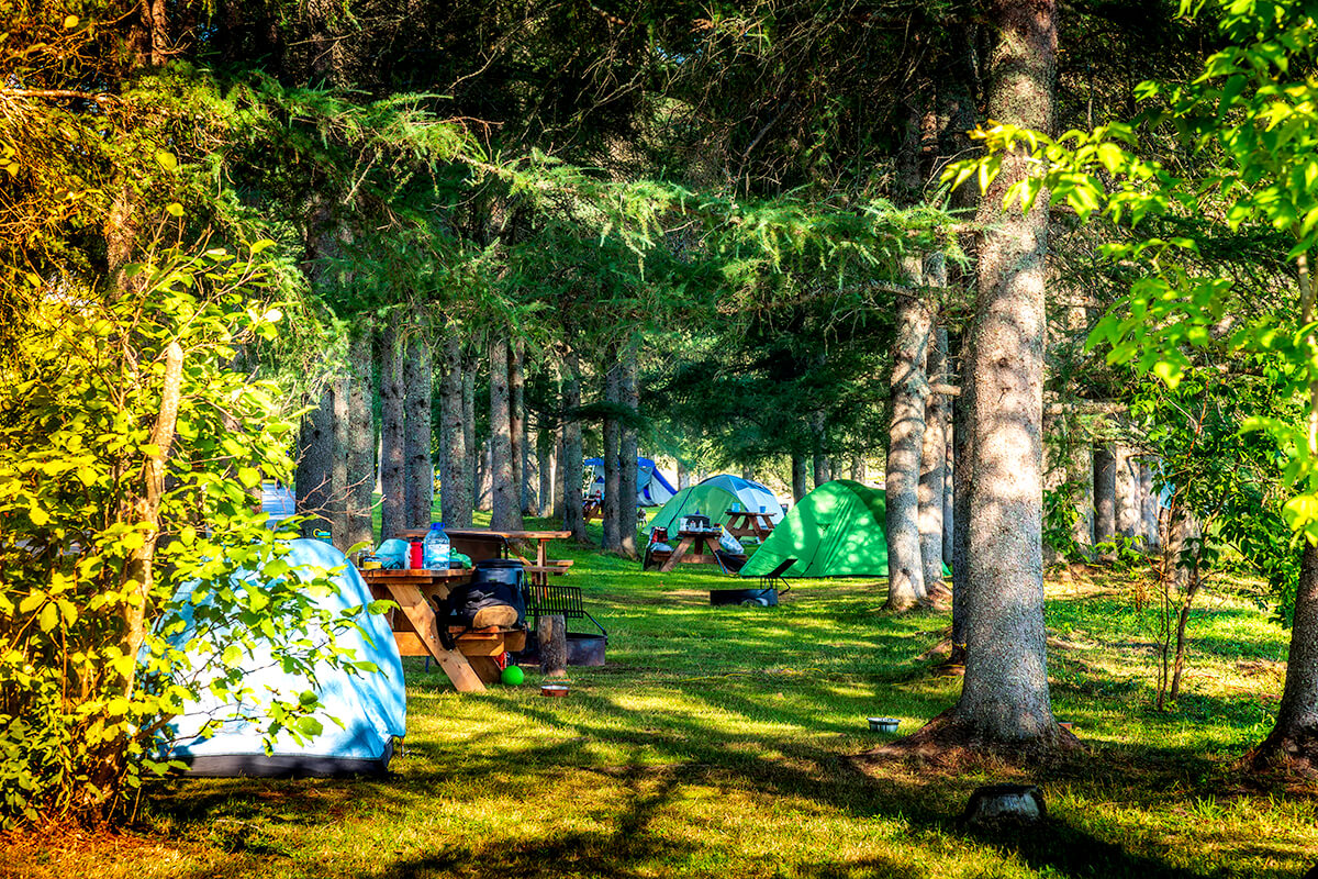 Camping de la Rivière Étoilée - Activité du Parc régional du Marécage-des-Scots
